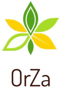 logo transparent png resized