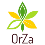 logo transparent png